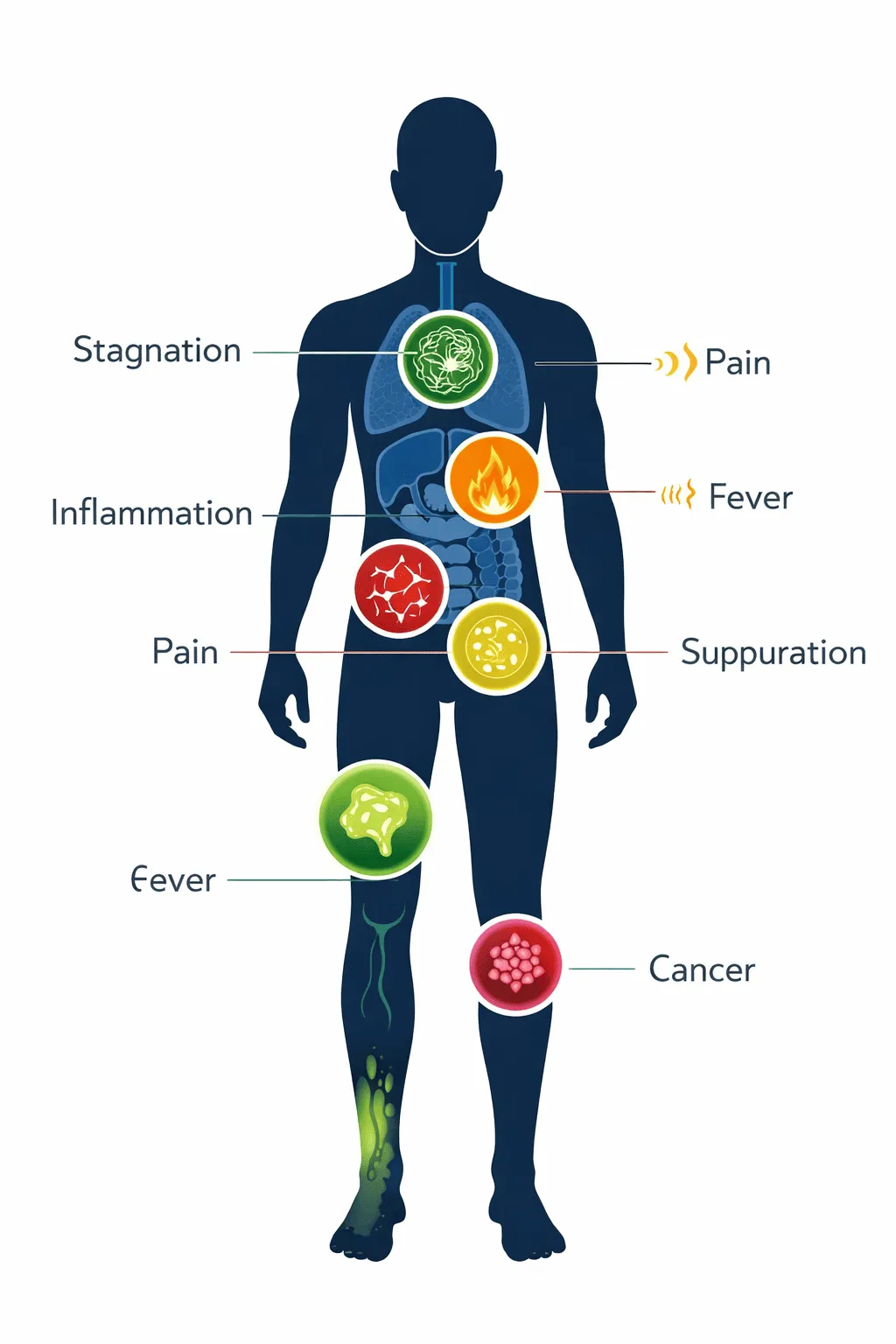 Practice of Medicine